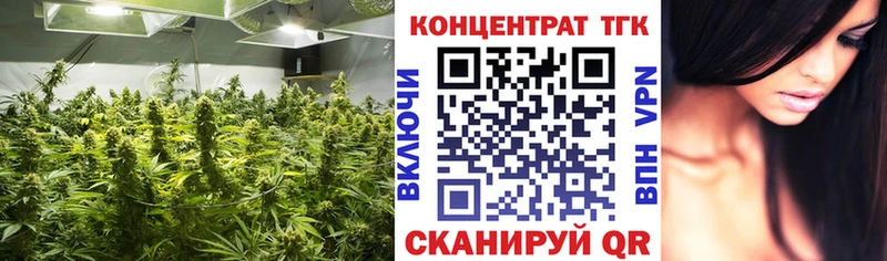 наркотики  Лукоянов  ТГК THC oil 