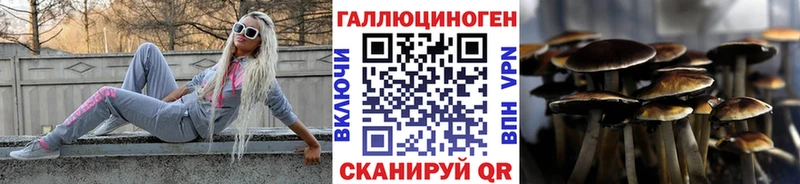 Псилоцибиновые грибы Cubensis  наркота  Лукоянов 